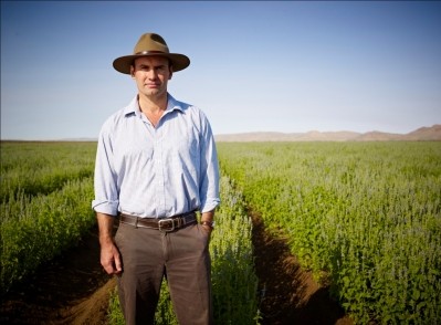 Tight chia supply? Not us, says Australia’s Chia Co., as it continues global expansion