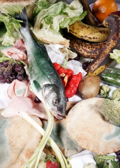 Should anaerobic digestion plants be on the menu for food processors?