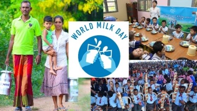 More than 600 registered events took place June 1 to mark World Milk Day.