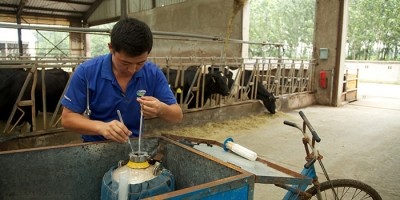 Fonterra has two farms in Hebei province, China