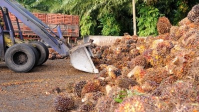 Palm kernel expeller, PKE, is a by-product of the crushing and expelling of oil from palm kernels. Fonterra sells about a third of the PKE used in New Zealand. Pic: ©iStock/slpu9945 