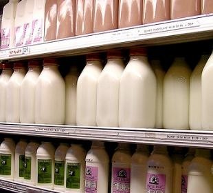 ‘Quality’ dairy nutrients could slash US healthcare costs