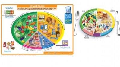 The new Eatwell Guide (left), which replaces the Eatwell Plate (right), reduces the recommended amount of dairy in the diet from 15% to 8%.