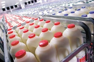 Dairy Crest wins 50m-litre contract with Tesco