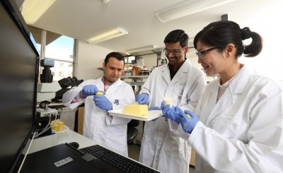 The nanoemulsion team examined characteristics of milk fat crystals in experimental cream and butter using microscopic techniques. Pic: The ARC Dairy Innovation Hub