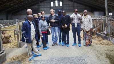 A Nigerian delegation visited Arla Foods in Denmark recently to see first hand how the cooperative works. Arla is working with the West African country on developing its dairy industry.