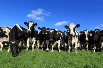 The UK is a key market for Irish dairy exports, while Asia is a growing market for nutritional powders. Pic: Bord Bia