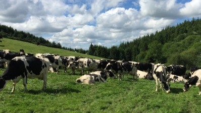 The European Commission has announced €500m of assistance to farmers, with €150m earmarked for the dairy sector.