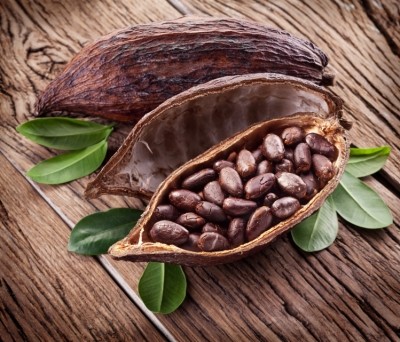Barry Callebaut: “We will supply the beans and claims and our co-manufacturer can take care of the extraction and global distribution.