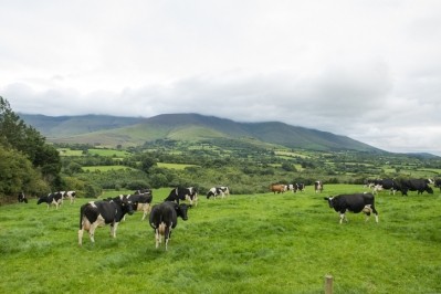 Under the Irish government's climate action plan, farmers must meet a target of a 25% reduction in emissions from 2018 levels by 2030. © GettyImages/levers2007