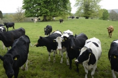 The UK agricultural sector has committed to a reduction of 3m tonnes of CO2e by 2020. 