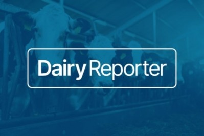 DairyReporter's new logo. Image: William Reed