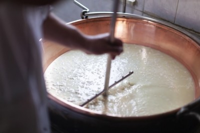 Exosomm upcycles whey from traditional cheese production to isolate exosomes. Getty/CasarsaGuru