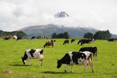 Fonterra farmers have seen a third consecutive farmgate milk price increase since October. Image: Getty/larkyphoto