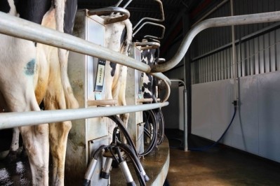 The Dairy Code applies to all processors in Australia with an annual aggregated turnover of A$10m.  Pic: Getty Images/nedjelly