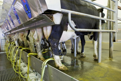 First Milk seeks to reassure farmers that slower pace of price increase is 'timing issue' / Pic: GettyImages BanksPhotos 