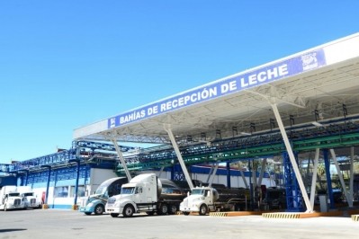 Nestlé Mexico has 17 milk factories in the country.