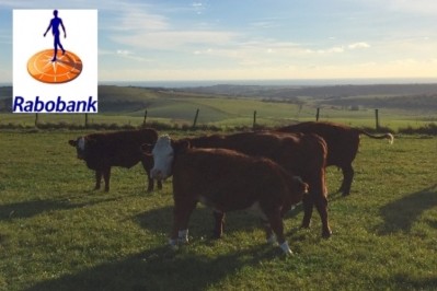 The same 20 companies make up the Rabobank top 20 for the dairy sector for 2018. 