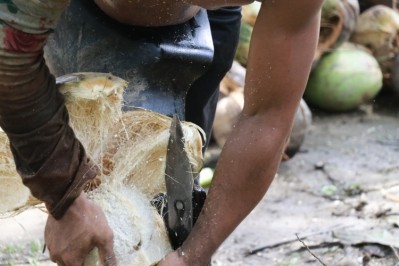 Good People Loop works directly with 1,000 coconut farmers in the Philippines. Pic: Danone North America