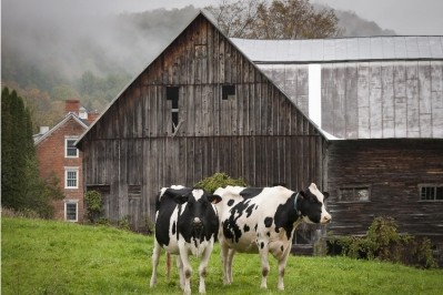 The NMPF said it will continue to work with administration officials and members of Congress to achieve adequate aid for all dairy producers, whose projected losses of $8.2bn. Pic: Getty Images/brandtbolding