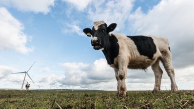 All farms, companies and organizations involved in US dairy are eligible to submit nominations. Pic: Getty/bearacreative