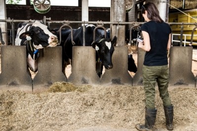 The app addresses All dairy industry issues such as the livelihood of herds and nutrition value of dairy products through automating work processes. Pic: Getty Images/Bonfanti Diego