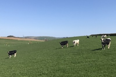 New analysis from AHDB highlights how the milk-to-feed price ratio for some producers is at a level that historically has led to reducing milk production.