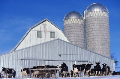 Wisconsin exported $3.37bn worth of agricultural and food products to 145 countries in 2020, according to DATCP, a third of which went to Canada. Pic: Getty Images/Richard Hamilton Smith