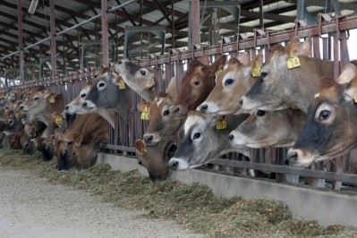 “Dairy farmers in Pennsylvania and across the US are in the fourth year of an economic downturn in which many farmers are struggling to break even.