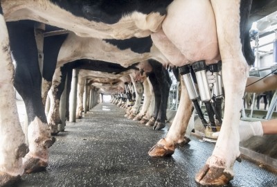 DN2K has opened registration to trial its DairyInsight technology though a new pilot program.©GettyImages/Toa55