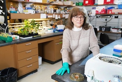 Natalia Dudareva, distinguished professor of biochemistry in Purdue’s College of Agriculture, in her laboratory. Pic: Purdue University/Tom Campbell