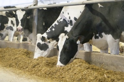 DairyTrace includes two new traceability tools - a mobile app and an on-line database portal. Pic: DairyTrace