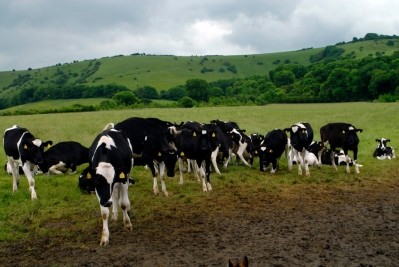 Dairy farmers can now trade phosphate rights on the market.