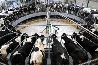 Retaliatory tariffs hitting the US could end up costing US dairy farmers $16.6bn in revenues. Pic: ©GettyImages/Guven Polat