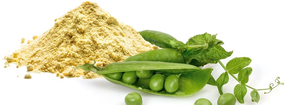 Why peas may hold the key to Asia’s growing plant-based beverage market