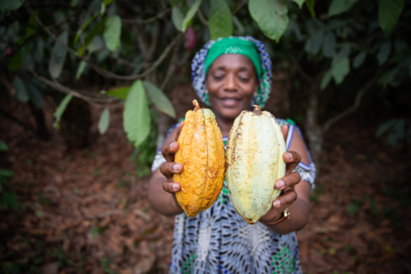GettyImages Matteo Guedia cocoa farmer