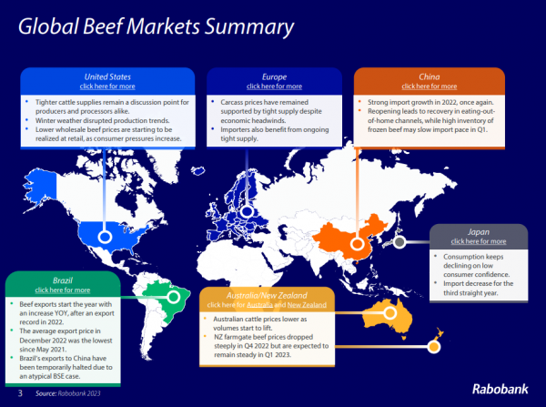 global beef market summary