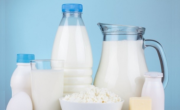 Dairy protein contains the highest amount of amino acids compared to other proteins, according to National Dairy Council. ©iStock/nevodka