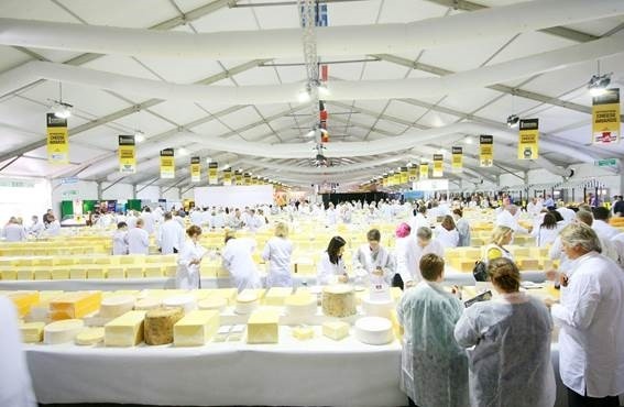 The International Cheese Awards were held in Nantwich, in the UK. Pic: Fonterra.