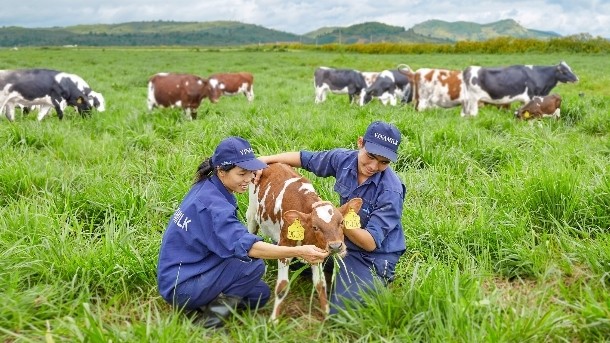 Vinamilk's organic dairy farm has been certified to a European standard by Control Union. Pic: ©Vinamilk