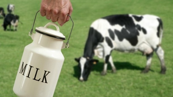 'Need for improved risk communication' to consumers on raw milk: EFSA