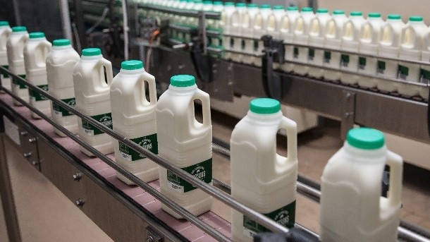 Medina Dairy is investing in its Watson's Dairy plant, with the creation of up to 25 new jobs.