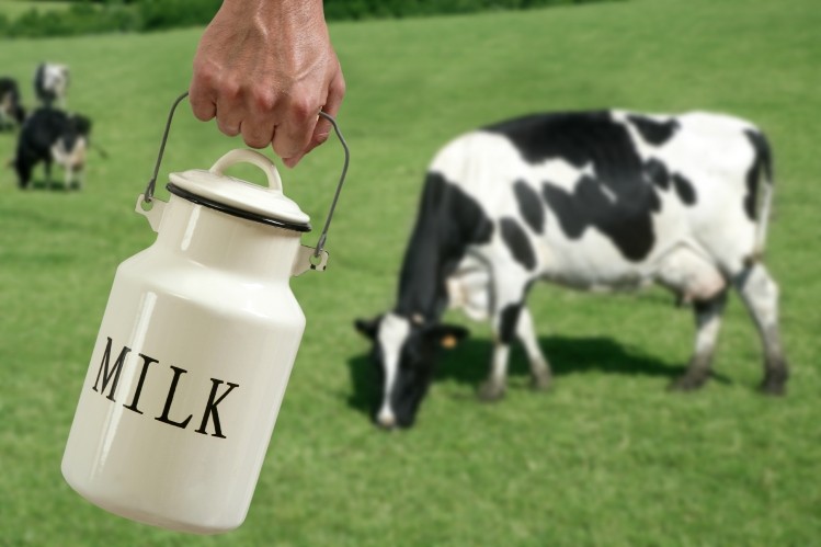 Legal US raw milk sales behind 'rapid increase' in outbreaks: CDC