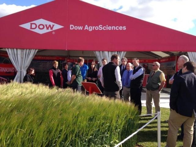 Dow and DuPont both have a portfolio of herbicides for crops for cereals, beets and oil seed rape.