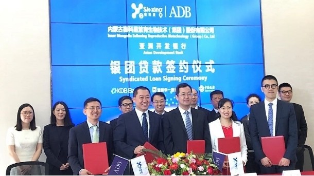 ADB $125m support for Saikexing dairy expansion