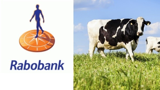 Rabobank's first quarter review of the global dairy industry looks to a cloudy 2016 with improvement in 2017. photo: iStock - Daviles