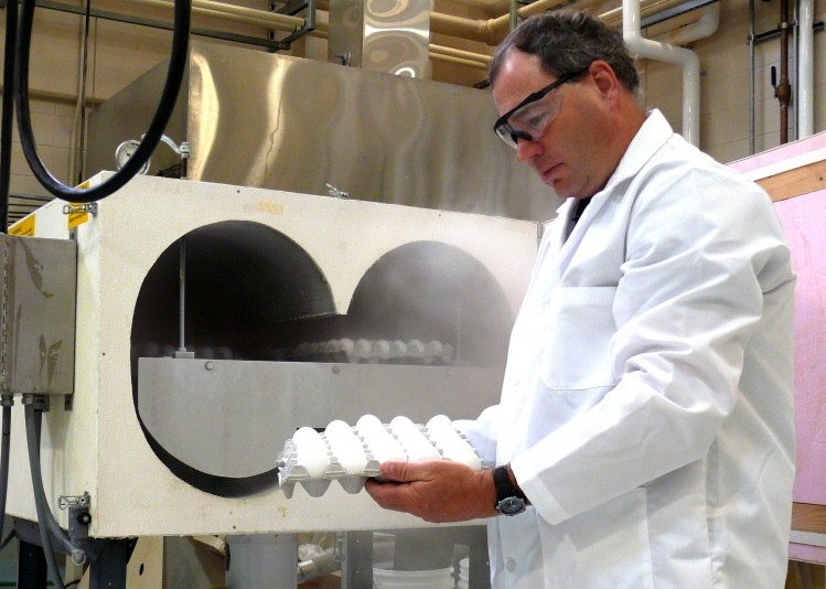 ‘Unique’ rapid egg cooling system to cut salmonella risk, extend shelf life