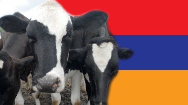 The EBRD organized a forum in Armenia to improve the quality and safety of local dairy products. Flag image: iStock-Patiwit