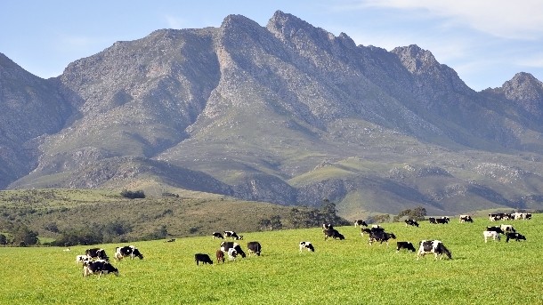 Demand for UHT milk in South Africa is rising, according to a new report from Persistence Market Research. pic: ©iStock/JJMaree