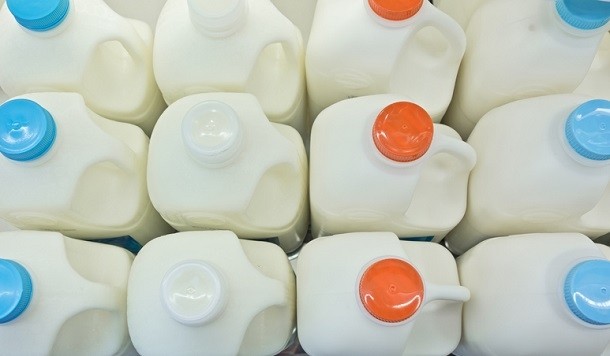 There's an "anti animal protein" movement that will have a negative impact on the dairy industry if it doesn't innovate, the CEO of Select Milk said. ©iStock/RusN